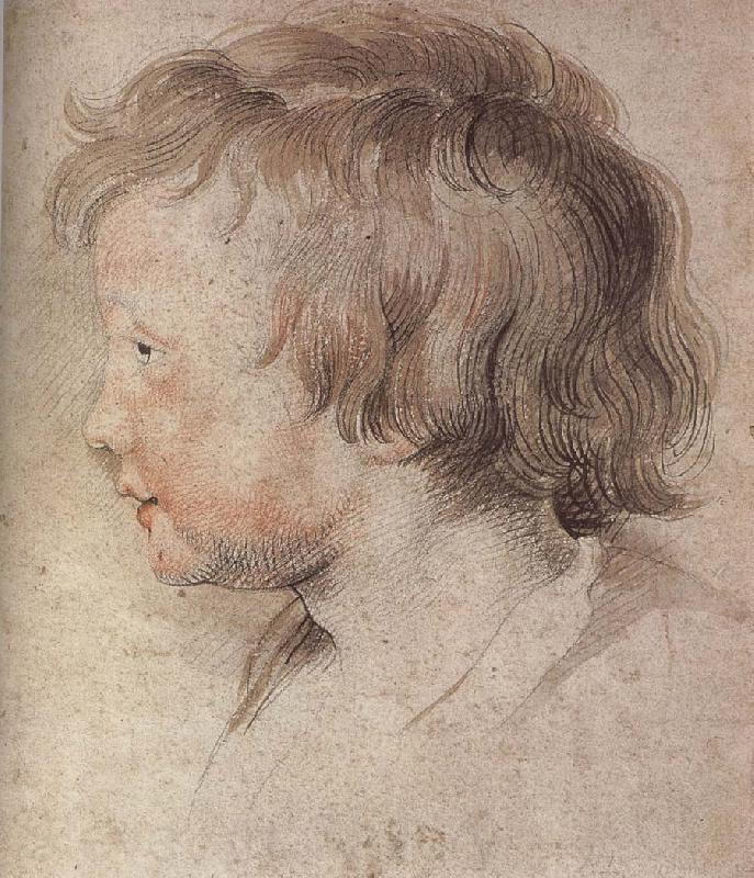 Peter Paul Rubens Portrait of Younger Rubens France oil painting art